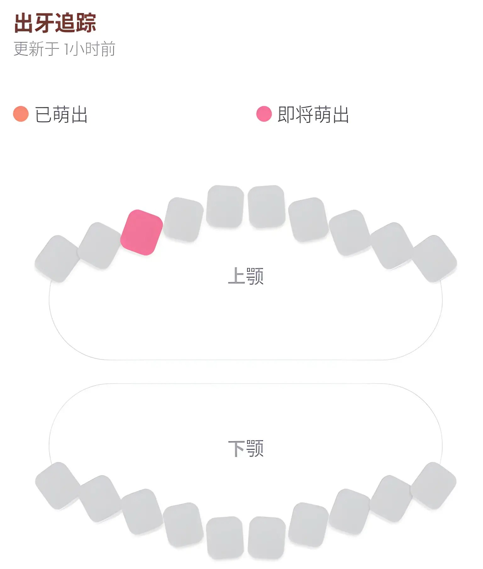 出牙图表